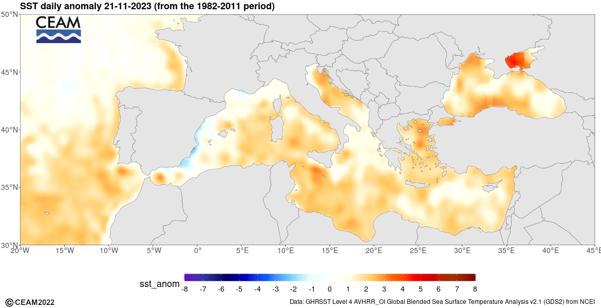 Latest daily SST anomaly